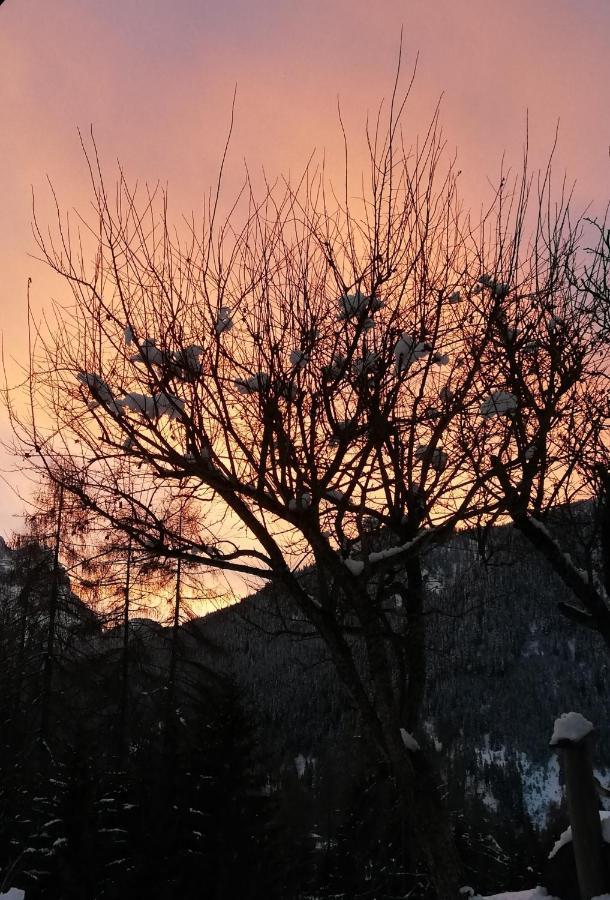 Cesa De Conesel Διαμέρισμα Colle Santa Lucia Εξωτερικό φωτογραφία